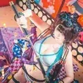 阿包也是兔娘